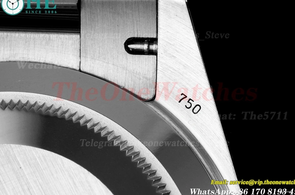 VR3255(Gain Weight) SS KF SS 228236 Silver 40mm Dia DayDate 0524